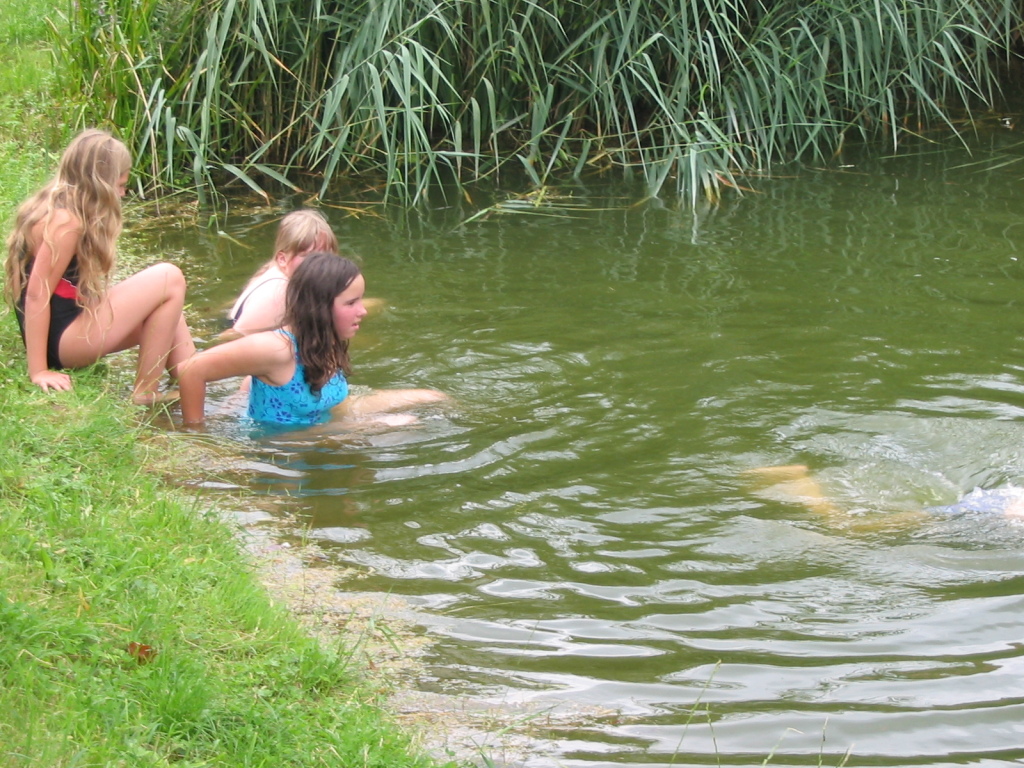 Auch in diesem Jahr wurde der Teich zum Baden genutzt